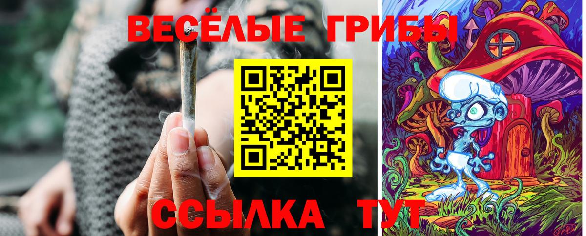 Корсаков  Псилоцибиновые грибы прущие грибы  Вход с VPN  Галлюциногенные грибы прущие грибы 